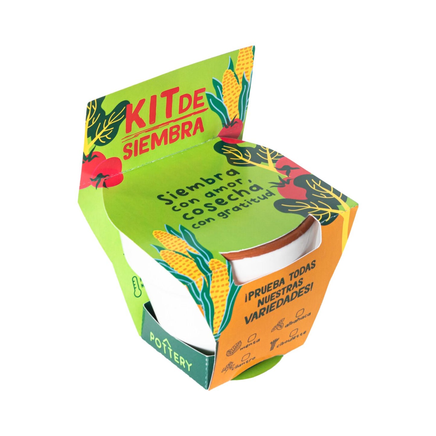 Kit de Siembra Kony 8 Blanca con Semillas de Albahaca