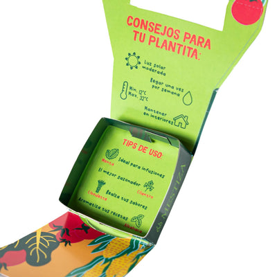 Kit de Siembra Kony 8 Esmeralda con Semillas de Cilantro