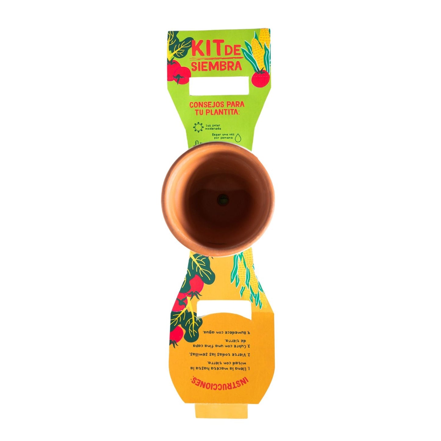 Kit de Siembra Kony 8 Palo Rosa con Semillas de Ciboulette