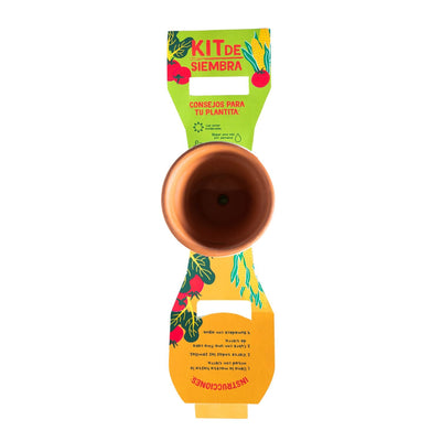 Kit de Siembra Kony 8 Palo Rosa con Semillas de Ciboulette