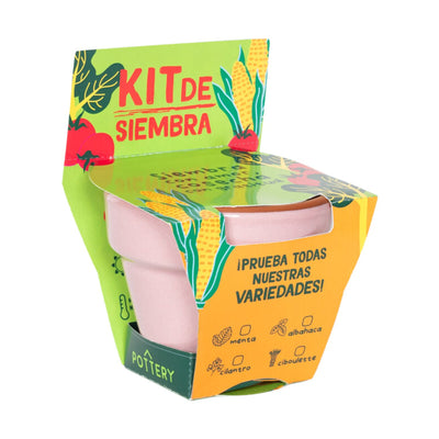 Kit de Siembra Kony 8 Palo Rosa con Semillas de Ciboulette