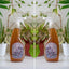 Fertilizante SuccuFeed - 500cc Spray