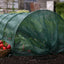 Túnel Protector para Cultivo 3mt