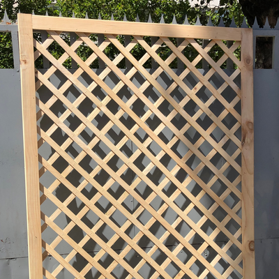 Enrejado con Marco XL 120x210cm - Rombo 7cm