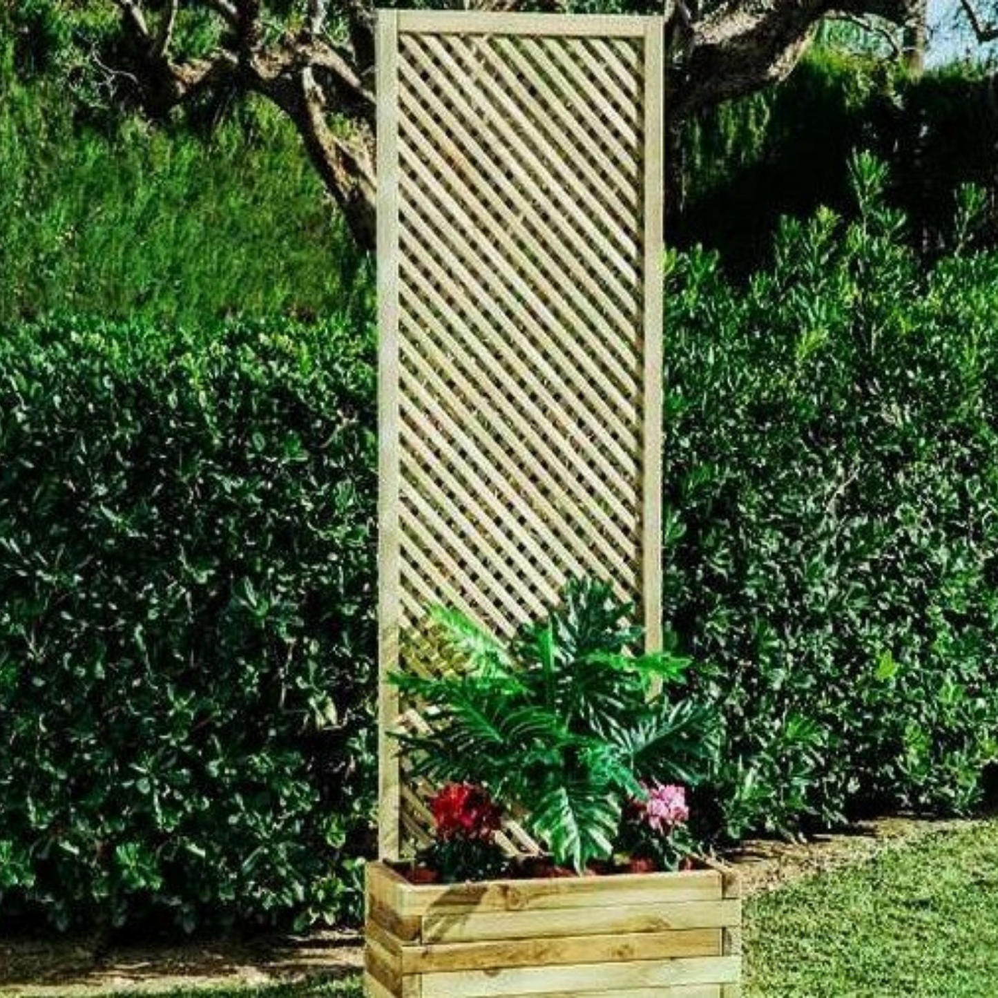 Enrejado con Marco 60x200cm - Rombo 3cm