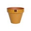Maceta Kony Full Mostaza Mango