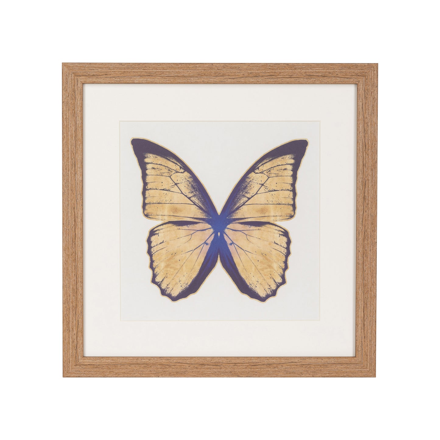 Set 3 Mariposas Lusitanas