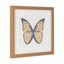 Set 3 Mariposas Lusitanas