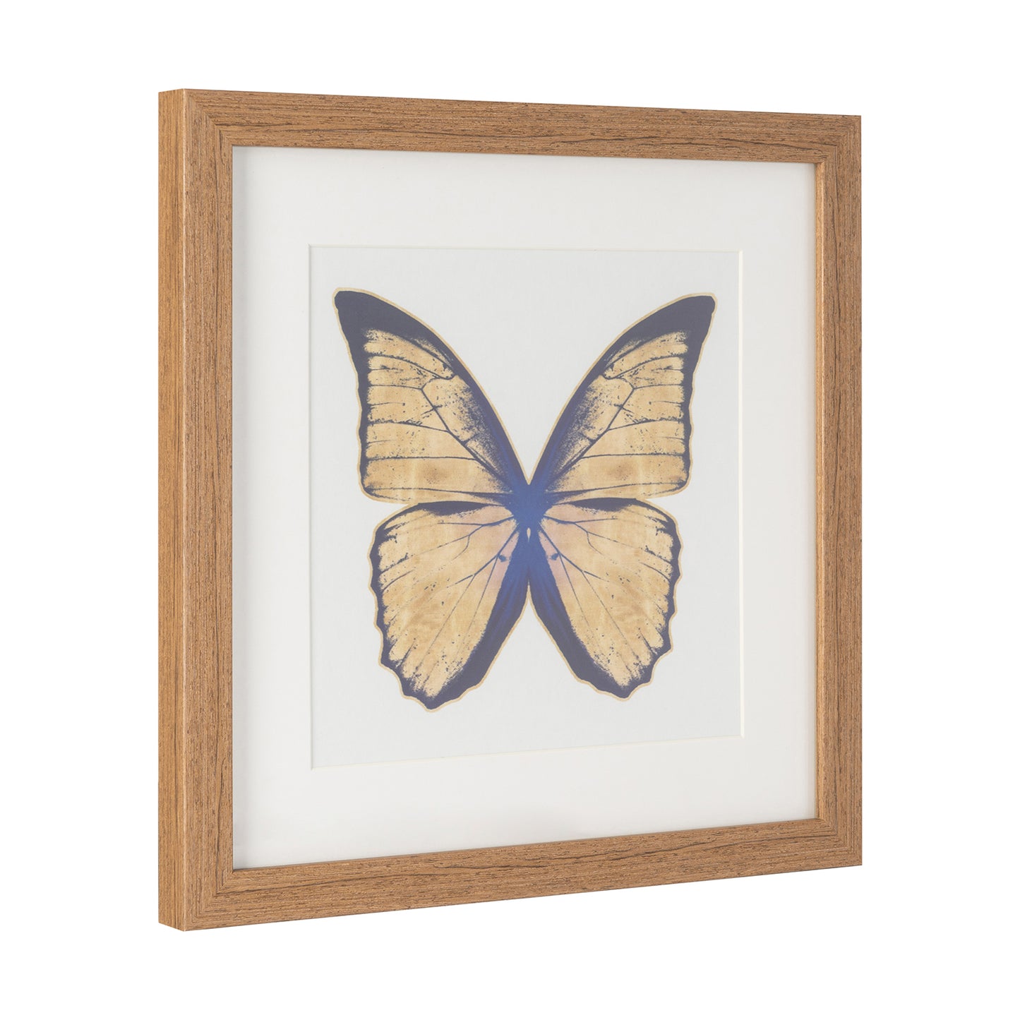 Set 3 Mariposas Lusitanas