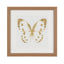 Set 3 Mariposas Lusitanas