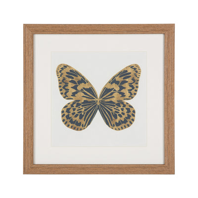 Set 3 Mariposas Lusitanas