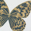 Set 3 Mariposas Lusitanas