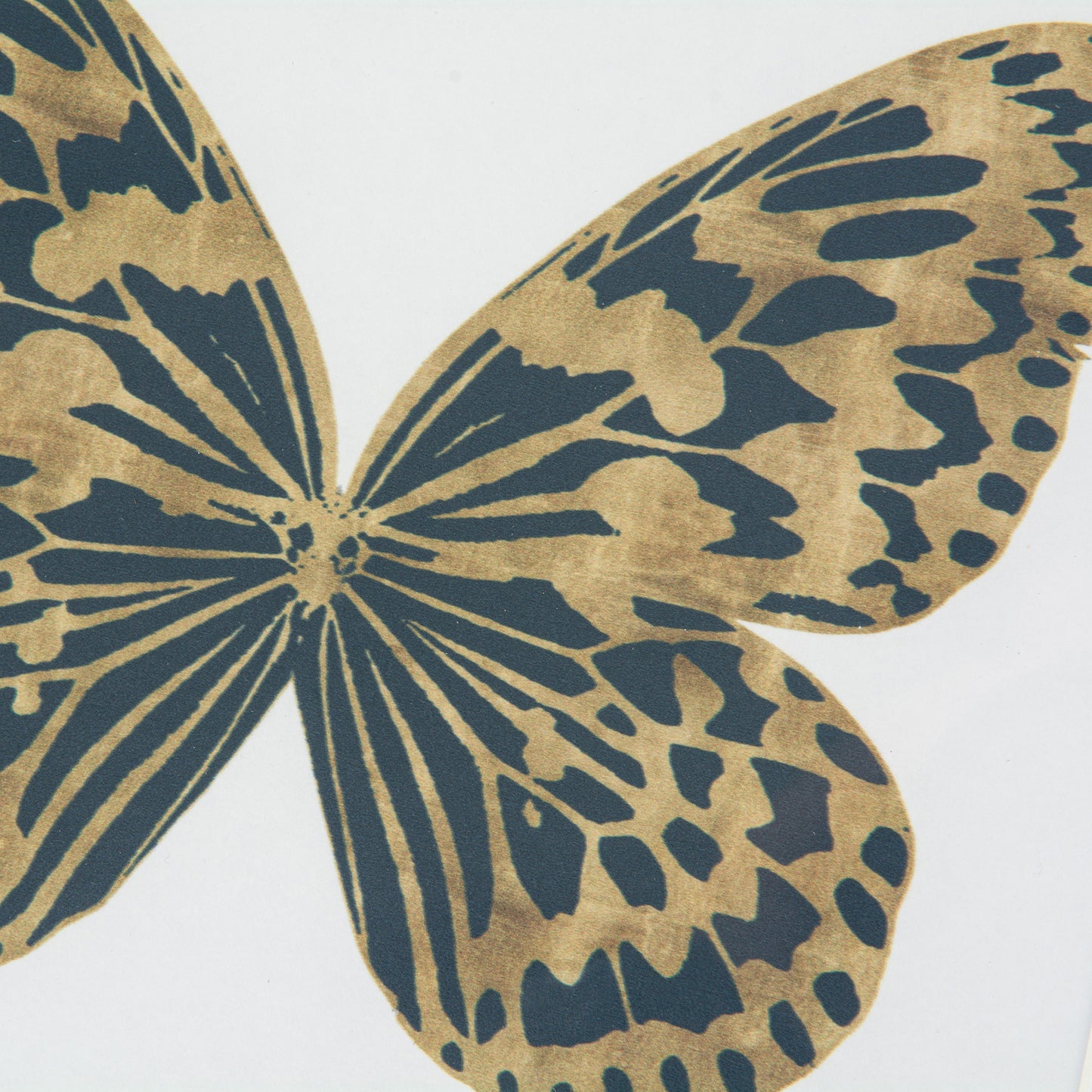 Set 3 Mariposas Lusitanas