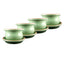 Set de Cacerolas y Platos Menta Miel