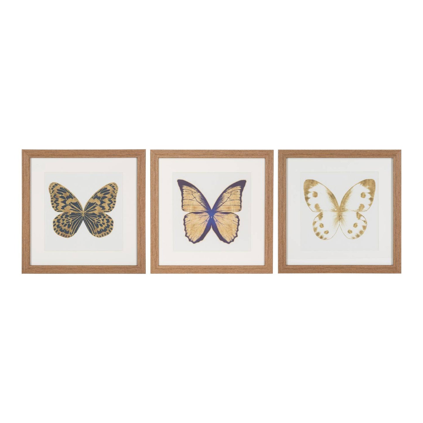 Set 3 Mariposas Lusitanas
